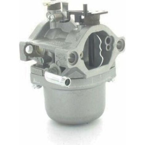 Vergaser Briggs Et Stratton 794653