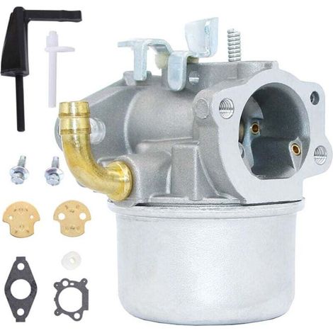 Kompatibel Mit Vergaser Für Briggs & Stratton 798653 697354 790290 791077 698860 Mit Zubehör