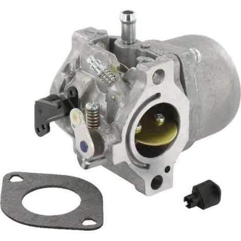 Vergaser Briggs Et Stratton 799728