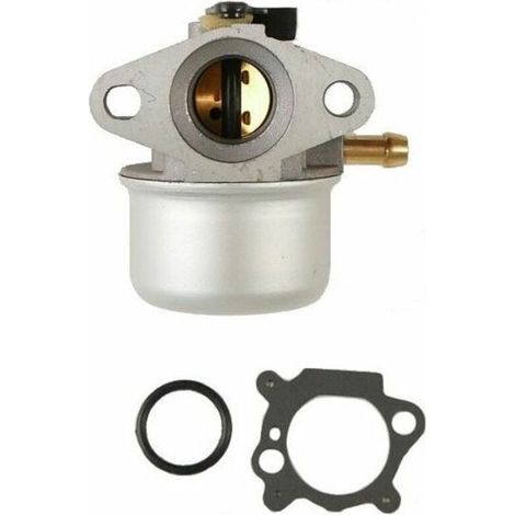 Vergaser Briggs & Stratton Motor - 498170