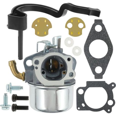 Vergaser-kit 591925, Passend Für Vergaser 698479 693518 698475 205cc, Motor 110432-0179-e1
