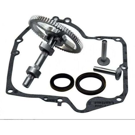 Nockenwelle Briggs & Stratton 793880 793583 792681 791942 795102 Nockensatz Mit Öldichtung 795387 Und Gehäusedichtungen Ruikalucky 697110 Lkbd
