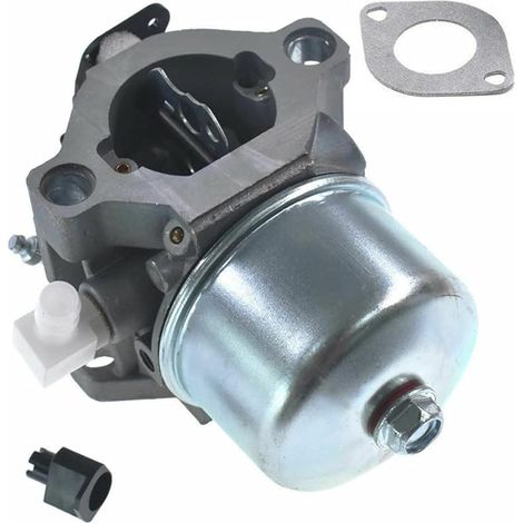Vergaser 12,5 Ps Für Lmt 5-4993 498888 Motorteile