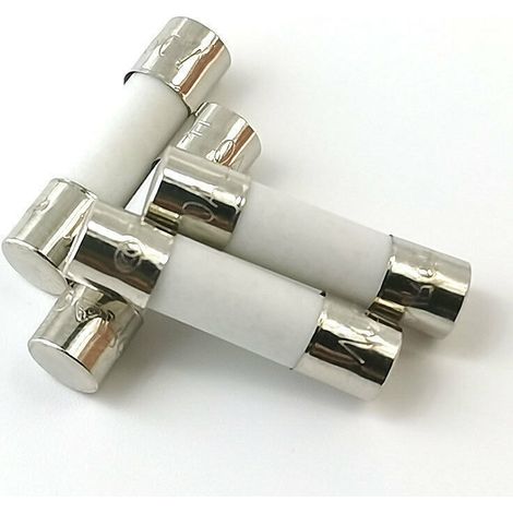 10x Keramische Träge Sicherung (t) 10a / 250vac 5x20mm