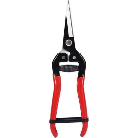 Stichsägeblatt 202 Mm, Schwarz/rot 202 X 60 Mm