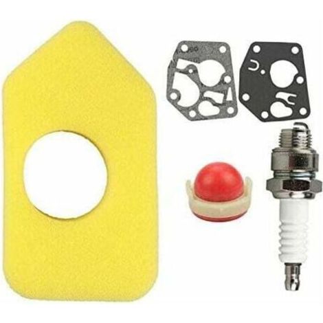 Wartungskit Für Vergaser 6/5000 Für Briggs & Stratton 95900, 96900, 98900, 9c900 Und 10a900