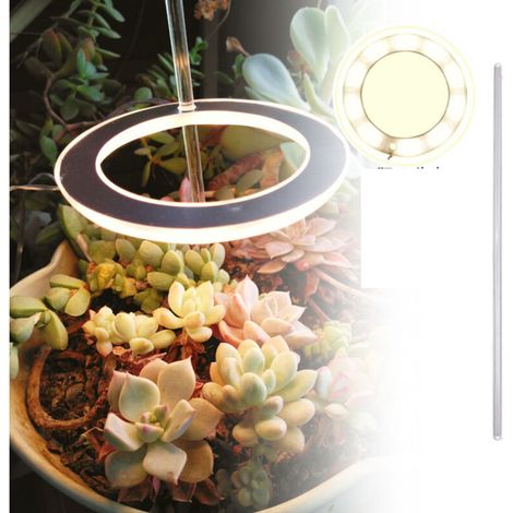 Led-wachstumslampe Für Zimmerpflanzen - Vollspektrum - Höhenverstellbar - Warmweiß