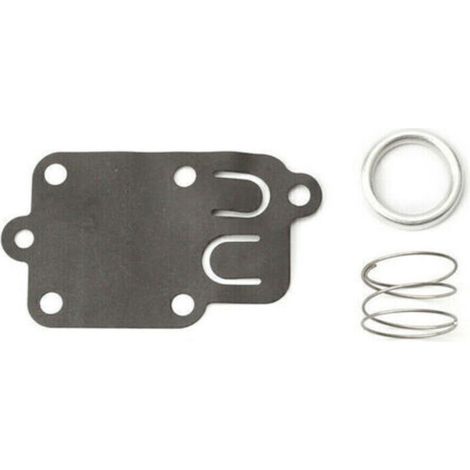 Membranvergaser Briggs Und Stratton