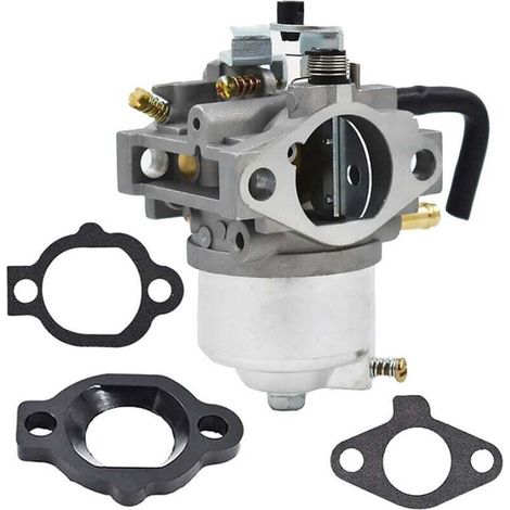 Vergaserkit 492256 Für Briggs & Stratton Rasenmähermotoren 260000 Und 261000 (referenz 261777-0140-99)