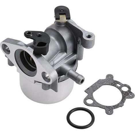 Vergaser Briggs & Stratton 799866 Ersetzt 796707/794304, Vergasertyp Mit Dichtung