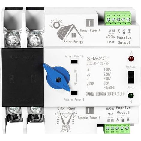 Photovoltaischer Automatischer Umschalter Für Doppelte Leistung. Unterbrechungsfreier Stromversorgungsschalter 220 V, Zgq5g-100 A/2p