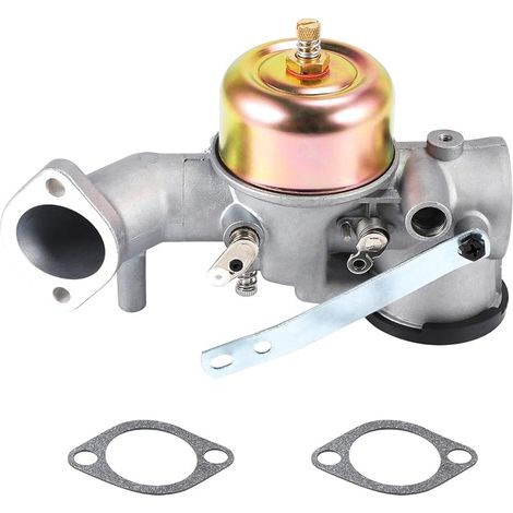 Vergaser Mit Dichtung Für 491031 490499 491026 281707 Motor 12ps