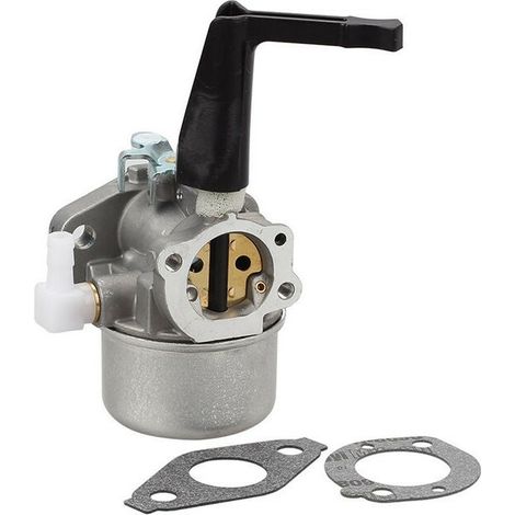 Ersatzvergaser Für Briggs & Stratton Motorkultivator 696065 Mit Dichtung