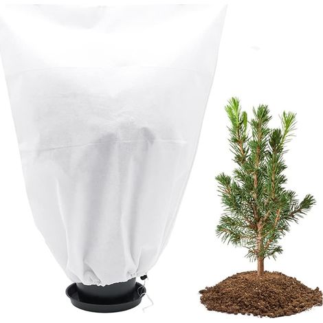 Winterlicher Pflanzenschutz Aus Vlies, Abdeckplane Für Outdoor-pflanzen, Winterschutzplane Für Zitronenbaum, Palme, Olivenbaum (1 Stück 60 X 80)