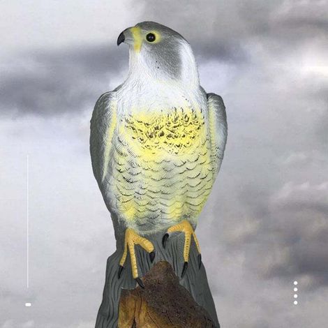 Fauke, Vogelscheuche, Realistische Färbung, Beige, Einheitsgröße