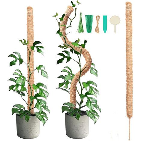 2 Stück 90cm Faltbarer Schaumstoffstab Mit 2 Stück 2m Langem Hanfseil, Kokosnussstab Für Pflanzen, Kletterhilfen Für Kletterpflanzen, Gartenpflanzenstütze
