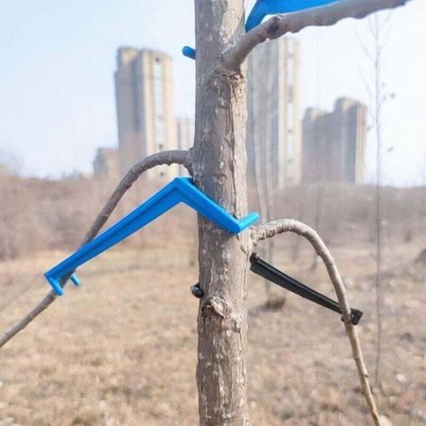 Der Astspreizer Formt Stärkere Äste An Apfel- Und Anderen Obstbäumen, Um Das Wachstum Neuer Zweige Zu Unterstützen, Aststütze (blau), 30 Stück
