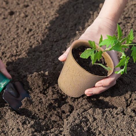50 Stück Biologisch Abbaubare Töpfe, Kleine Fasertöpfe, Gartentopf-set, Anzuchttöpfe Und Kompostierbar Für Keimfreie Kunststoff- Und Torffreie Kultur