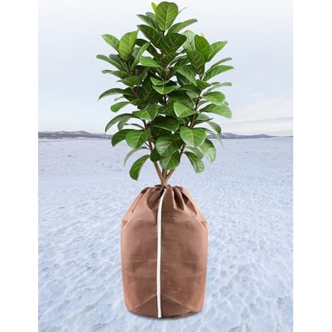 Landrip Thermischer Schutz Für Pflanzen Im Freien, 60 X 90 Cm, Winterschutz Für Topfpflanzen, Topfschutz Mit Kordelzug, Frostschutz Für Pflanzen