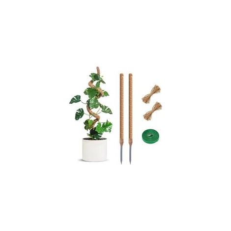 2 Stück 60 Cm Klappbare Kokos-pflanzenstütze, Ausziehbar Für Kletterpflanzen, Für Garten Und Zuhause