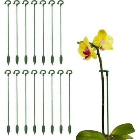 Set Aus 15 Zimmerpflanzenstützen, 27 Cm Hohe Stütze Für Monstera Deliciosa, Verhindert Das Umkippen Der Pflanzen, Geeignet Für Amaryllis, Blütenpflanzen, Rosen Und Lilien