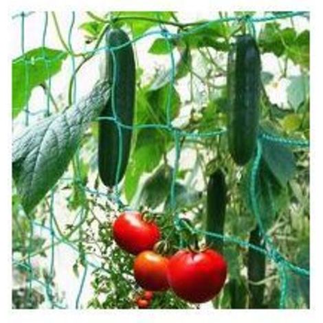 Breitmaschiges Ranknetz Für Die Gezielte Ernte Von Gurken, Tomaten Und Anderen Gemüse- Sowie Kletterpflanzen – Maße: 1,8 X 2,7 M