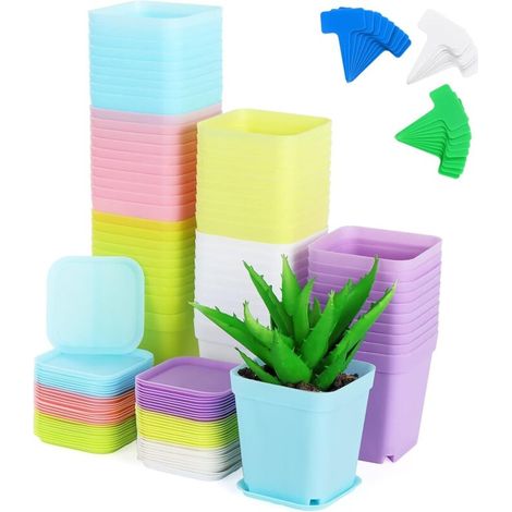 60 Quadratische Kunststofftöpfe Für Setzlinge, Innentöpfe Mit Tabletts Und Etiketten Für Sukkulenten, Tiger-schwanz-pflanzen, Aloe Vera (verschiedene Farben)