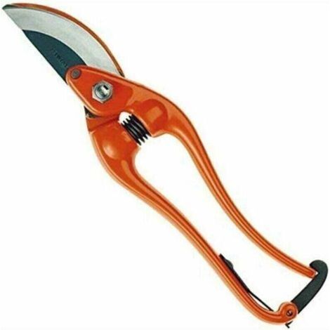 Orangefarbene Heckenscheren P3-23-f, Länge 230 Mm