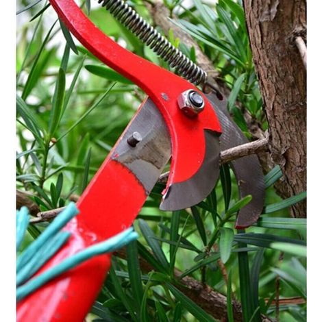 Teleskopische Obstpflücker, Teleskopische Gartenschneider, Astschere, Teleskopische Baumsäge Auf Stange, Teleskop-heckenschere