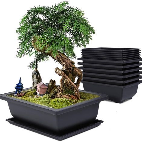 6er-set Bonsai-töpfe Mit Untertassen, 16x12x6cm Kunststoff-blumentöpfe Mit Gartenwerkzeug, Rechteckige Bonsai-töpfe Mit Abflussloch Für Garten, Balkon, Außen- Und Innenbereich