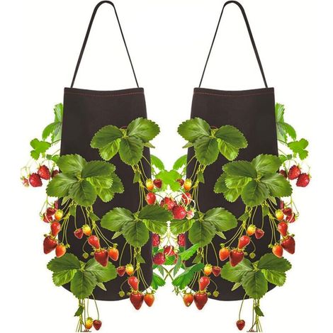 2 Stück Pflanzsack Für Erdbeeren, Kartoffel-pflanzsack, Gartensack Mit Fenster Und Griff Für Erdbeeren, Tomaten Und Gemüse
