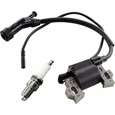 Set Bestehend Aus Zündspule Und Zündkerze Für Den Stromgenerator Berlan Bste3000 2800 W / 6,5 Ps Und Den Scheppach Sg3000.