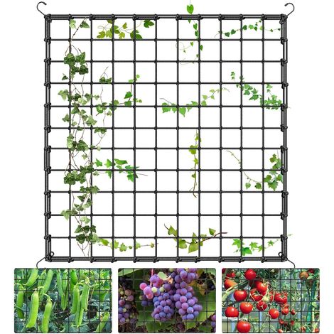 Kulturgitter Für Kletterpflanzen 120 X 120 Cm – Elastisches Schwarzes Gartengitter Mit 4 Haken, Elastisches Kulturgitter