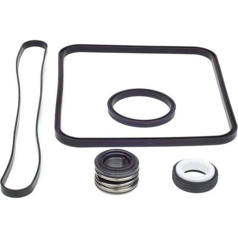 Ersatzdichtung Für Super Pump Pumpe Für Hayward Go Kit Kompatibel Mit Den Modellen Sp1600, Sp2600 Regular, X, Vsp. Spx1600tra Sp1600z2 Ps-201 Spx1600r Spx1600s Spx1600t Schwimmbad