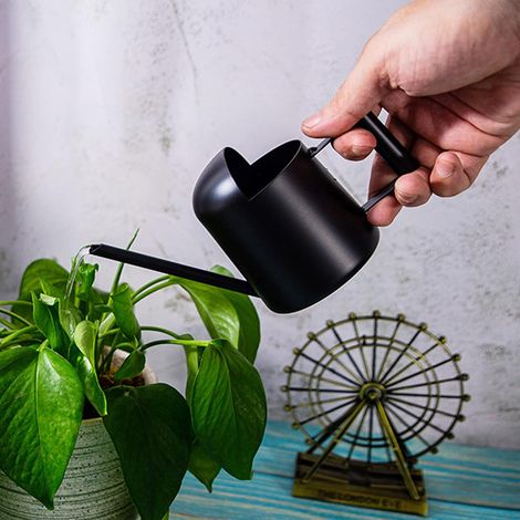 Edelstahl-gießkanne Mit Langem Hals, Kleine Gießkanne, Geeignet Für Sukkulenten Und Blumen, Für Innen- Und Außenbereich (300 Ml, Schwarz)