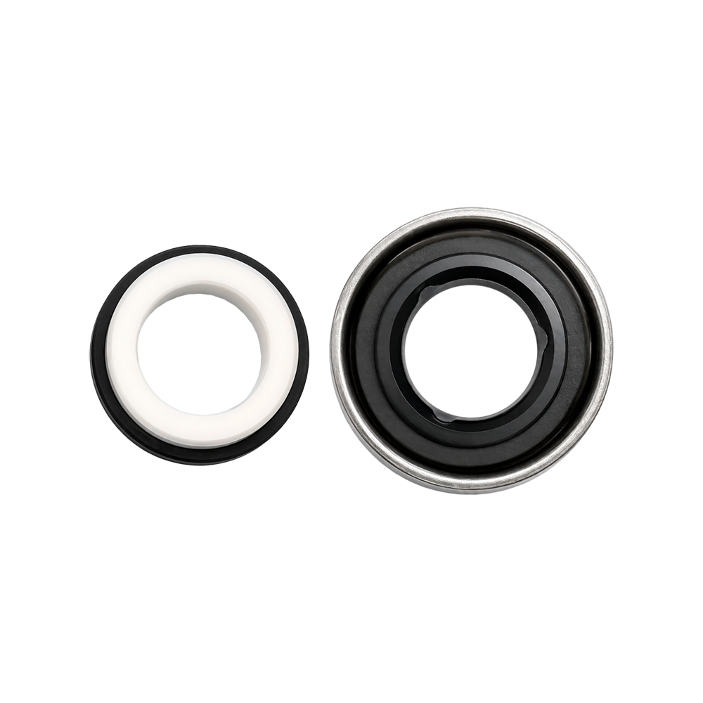 Gleitringdichtung Für Pumpe Productos Qp Bricobombazo 0,75 Hp – Bb550025