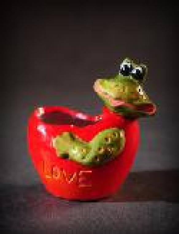 Herzförmiger Keramik-organizer Mit Frosch