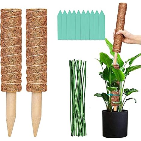Pflanzenstütze Für Kletterpflanzen Im Innenbereich, Monstera Kokos-stütze, 50 Cm Pflanzenstäbe, Halterung Für Kletterpflanzen Im Innenbereich, Moos-pflanzenstütze Mit Blättern, Set Aus 2 Stück