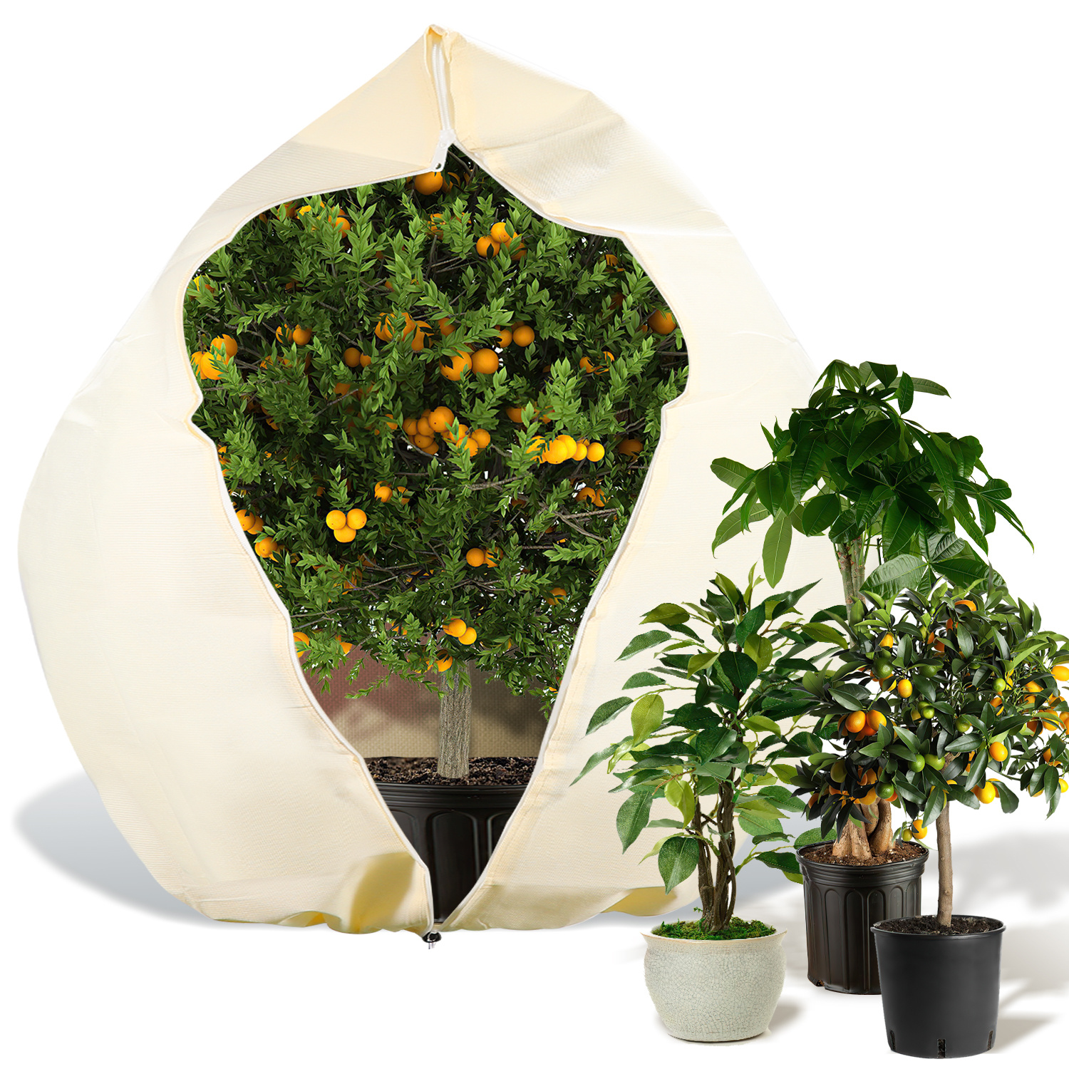 Tolletour Pflanzen Winterschutz 250x360cm 100g/m2 Dickes Material Reißfest Waschbar Pflanzen Überwinterungszelt Wintervlies - 2er
