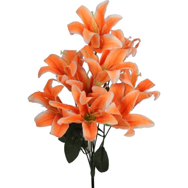 Strauß Aus 10 Orangefarbenen Lilien