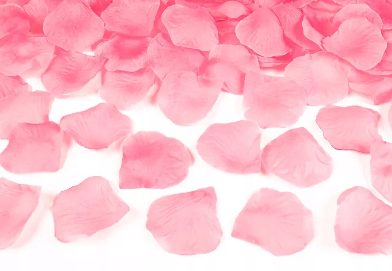 Rosenblätter, 100 Stück, Rosa