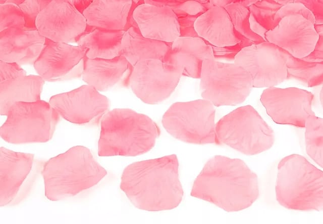 Rosenblätter, 100 Stück, Rosa