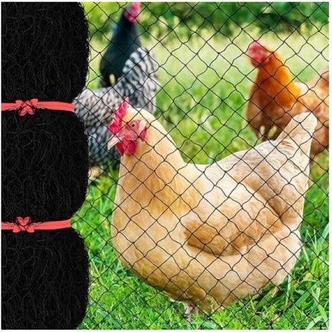 Filet Anti-vögel Von 15 X 15 M Mit Quadratischem Netz Von 2,5 Cm, Wiederverwendbares Gartennetz Für Hühnerstall, Nylon-vogelschutznetz Für Rehzaun Zum Schutz Von Obstbäumen Vor Schädlingen