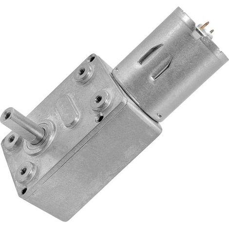 Umschaltbarer Elektromotor Mit Getriebe, Hohes Drehmoment, Schneckengetriebemotor, 12 V, 67 U/min, Silber