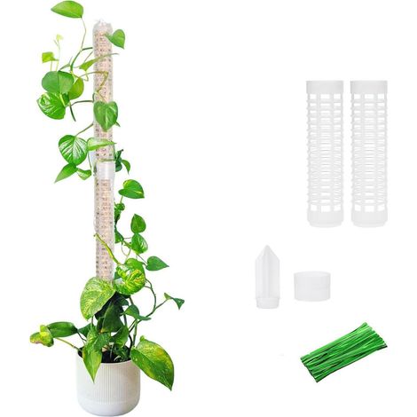 2 Stück Kletterpflanzen-hilfen Für Töpfe – Ausziehbare Moosstäbe Für Monstera Deliciosa – Kletterhilfen Für Zimmer- Und Außenpflanzen Mit Erdspießen