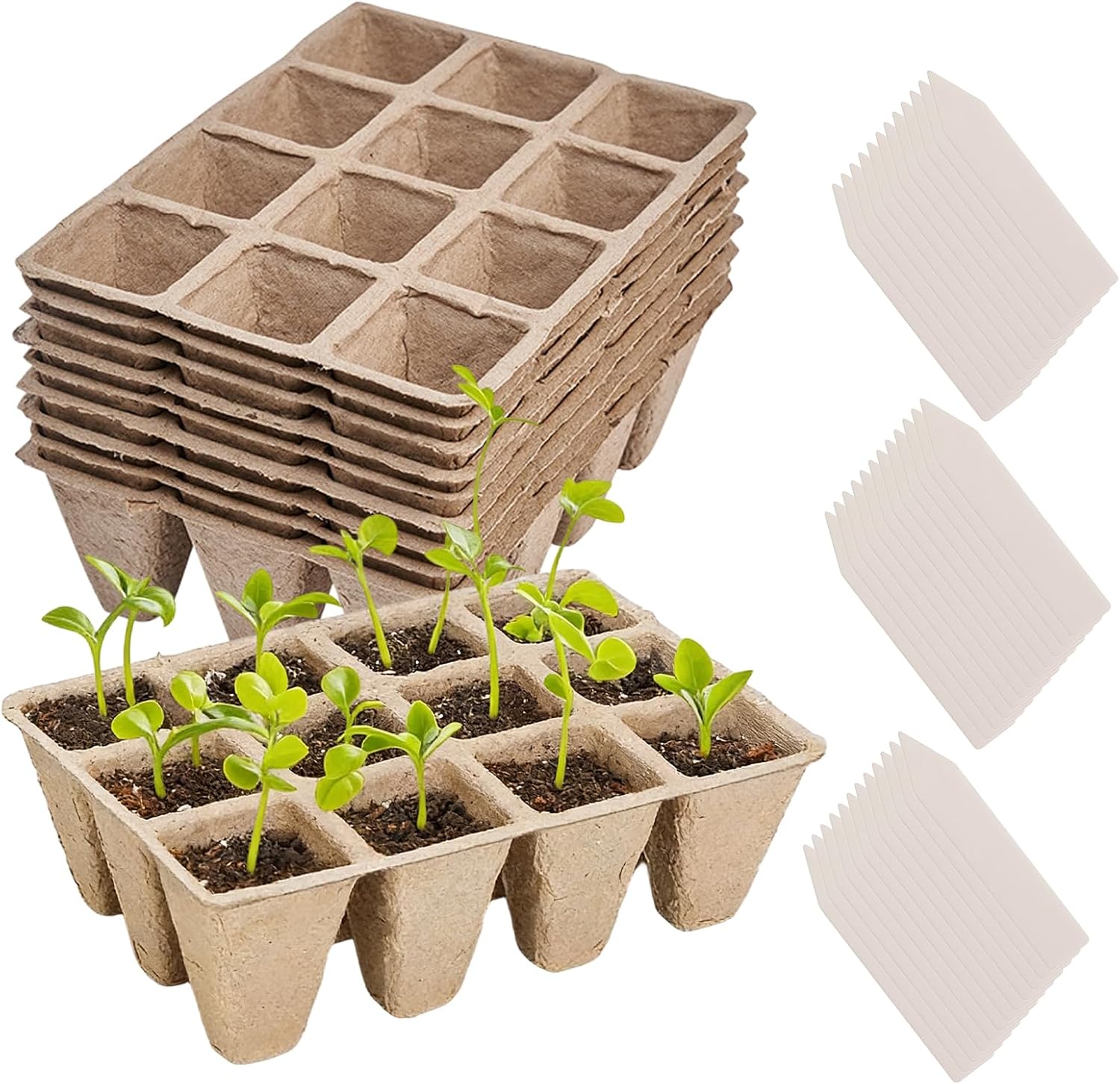 Anzuchttöpfe, 120er-packung, 10x12 Zellen
