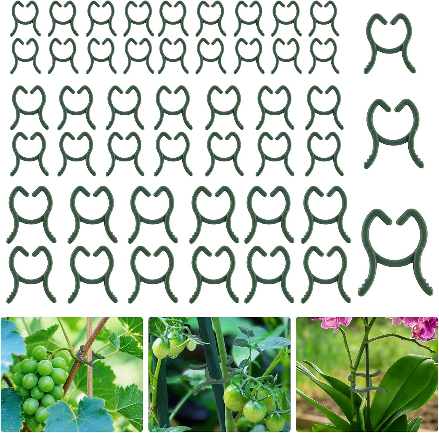 150 Stück Pflanzenstützclips, Pflanzenclips, 3 Größen, Kletterpflanzenclips, Tomatenclips, Wiederverwendbare Kletterpflanzenclips, Zur Unterstützung Von Pflanzen, Gemüse Und Obst