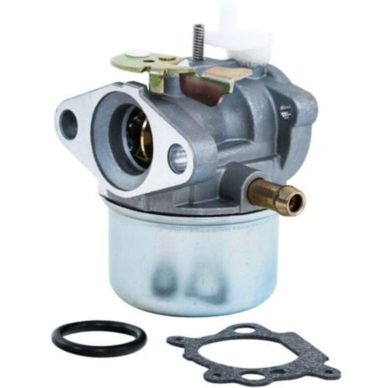 Briggs & Stratton 499059 Vergaser 497586 799869 792253 214661 Gastondeuse