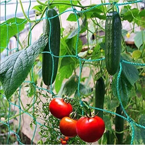 Rudernetz Mit Großer Maschenweite Für Eine Besonders Gute Ernte Von Gurken, Tomaten Und Anderen Gemüse- Und Kletterpflanzen – Maße: 1,82,7 M