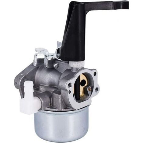 Vergaser Für 696065 697422 110402 215369 Von Rechange Moteur Motoculteur